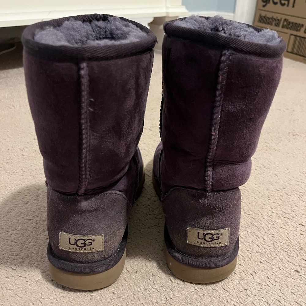 Purple Uggs